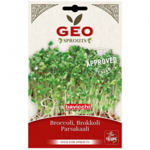GEO Broccolifrö EKO 13g