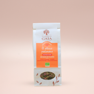 Les Jardins de Gaïa Lungful Te EKO 60g