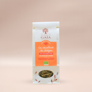 Les Jardins de Gaïa Dragon's Agility Te EKO 70g