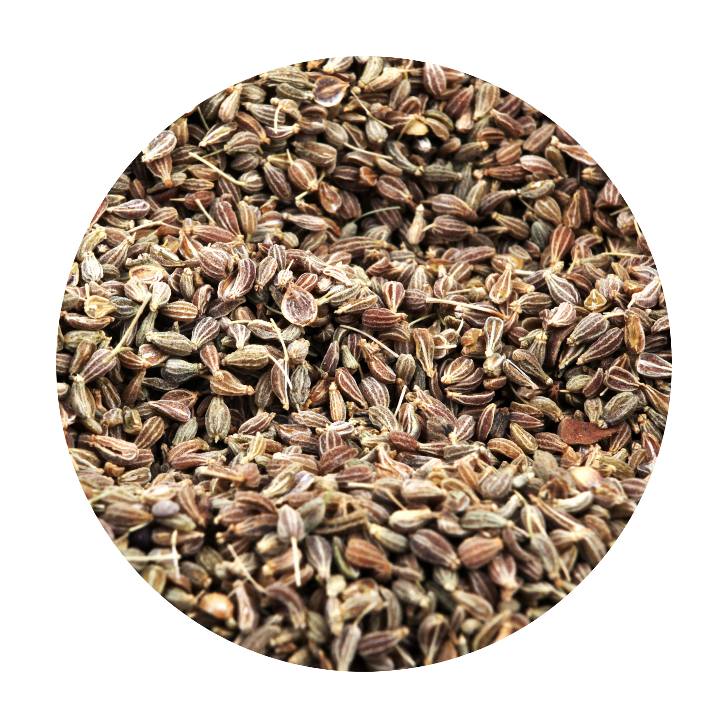 Sonnentor Hel Anis 1kg